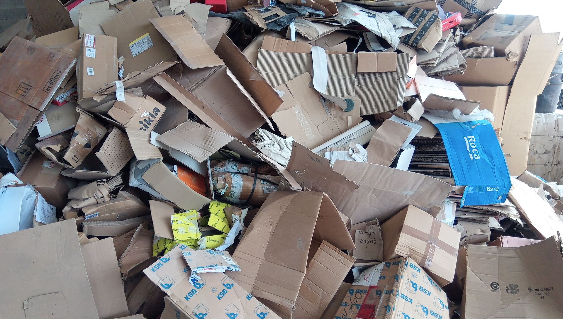 Reciclomais Papel e Cartão